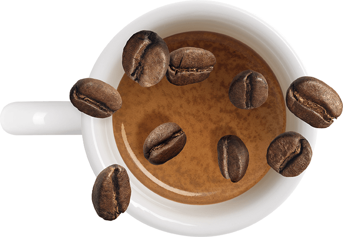 illy logo coffee brand